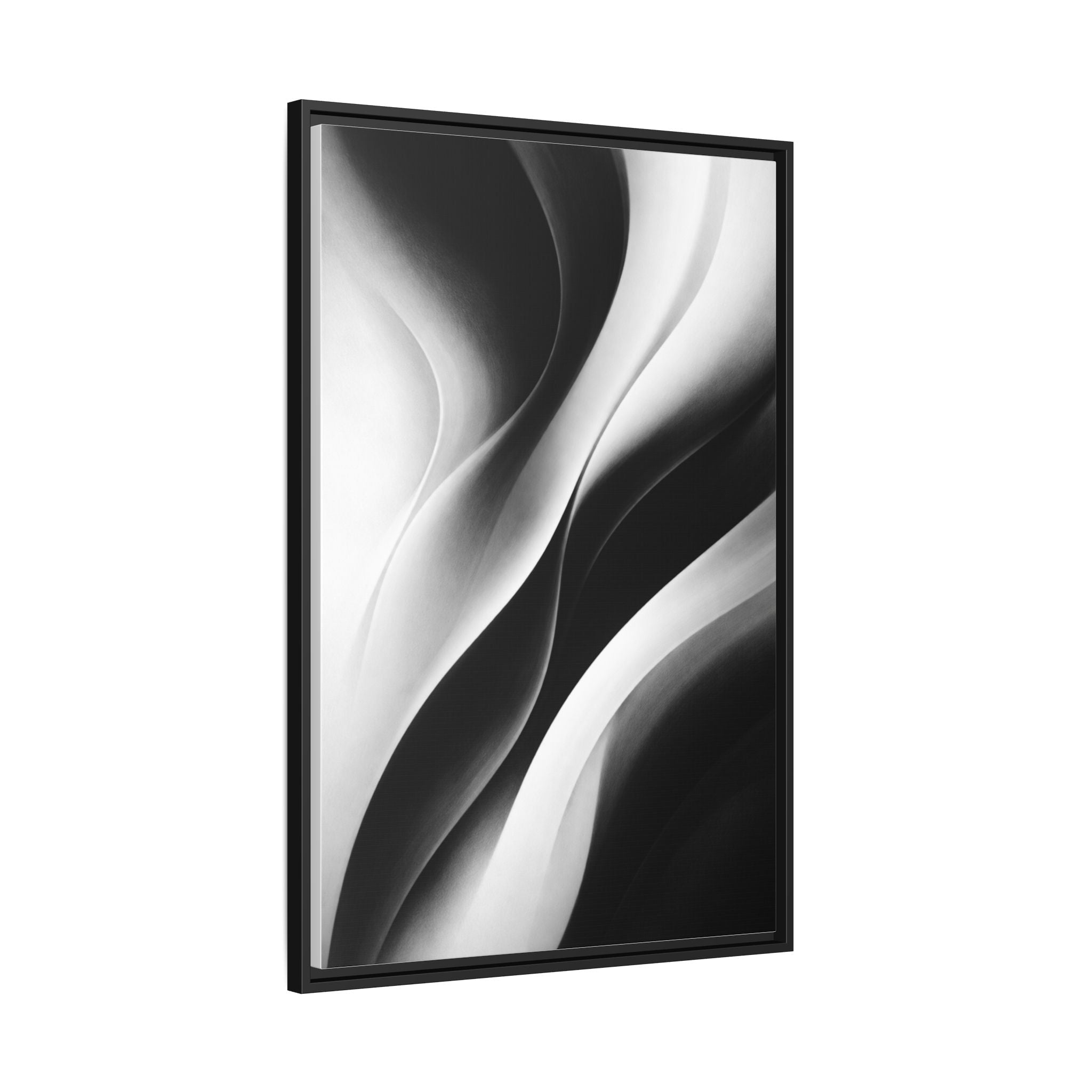 Contour | Monochrome Series Collection