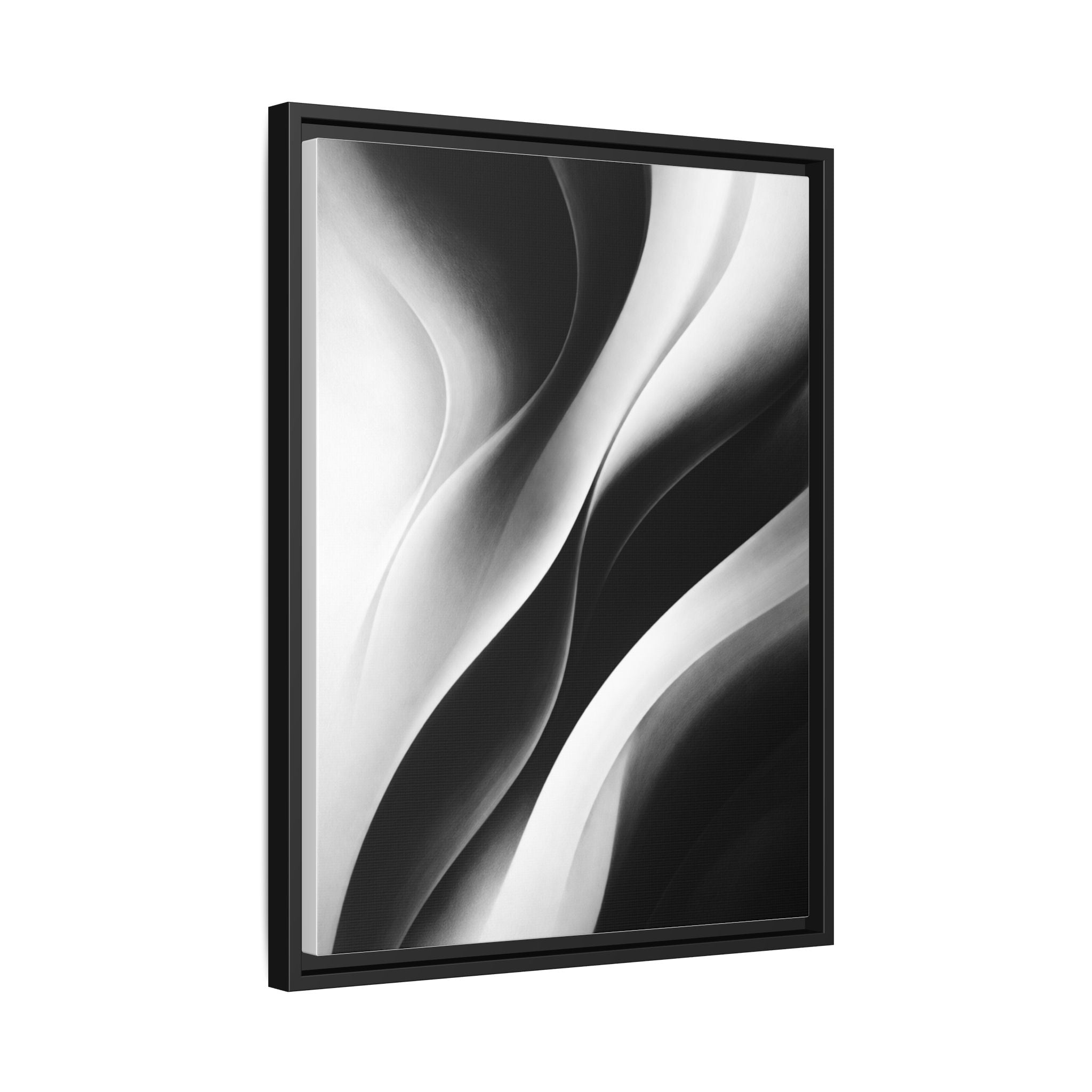 Contour | Monochrome Series Collection