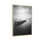 Still Waters | Monochrome Series Collection